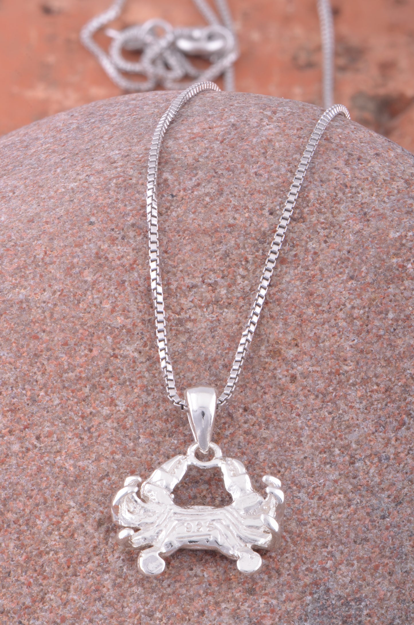 Sterling Silver Women's King Crab Necklace Silver Girls Crab Charm Necklace
