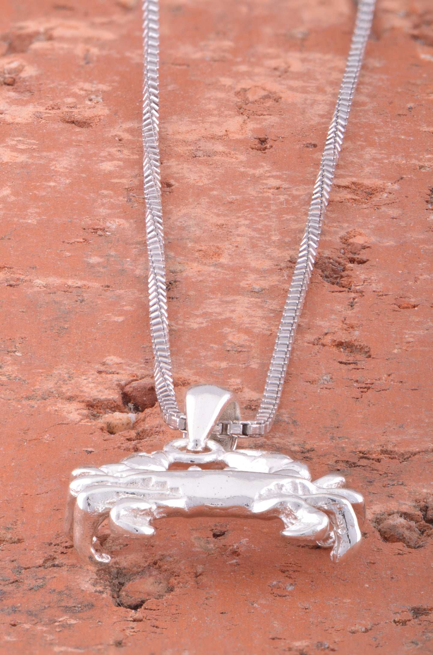 Sterling Silver Women's King Crab Necklace Silver Girls Crab Charm Necklace