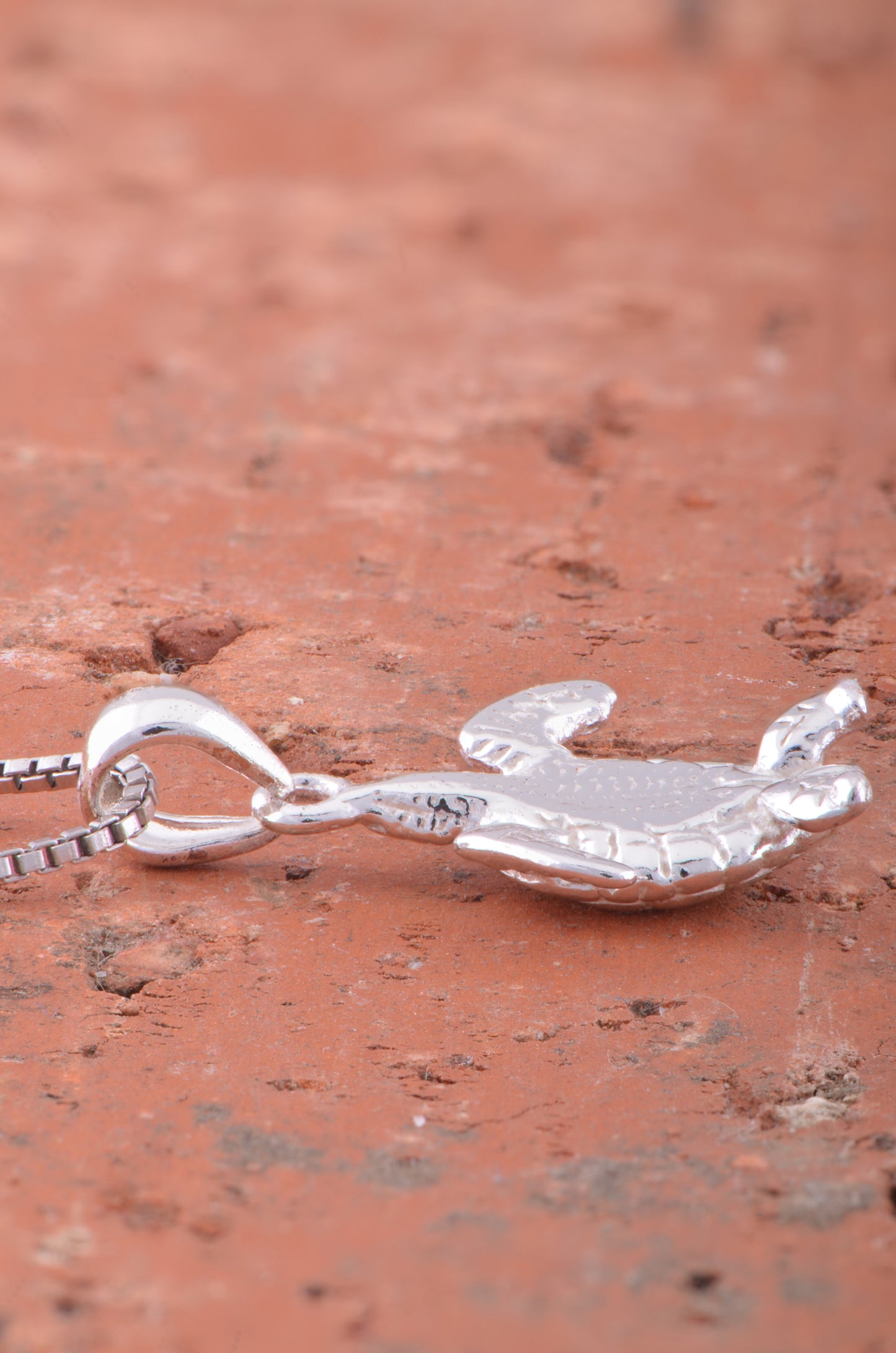 SilverCloseOut 925 Sterling Silver Womens Small Sea Turtle Necklace Silver Girls Sea Turtle Charm Necklace