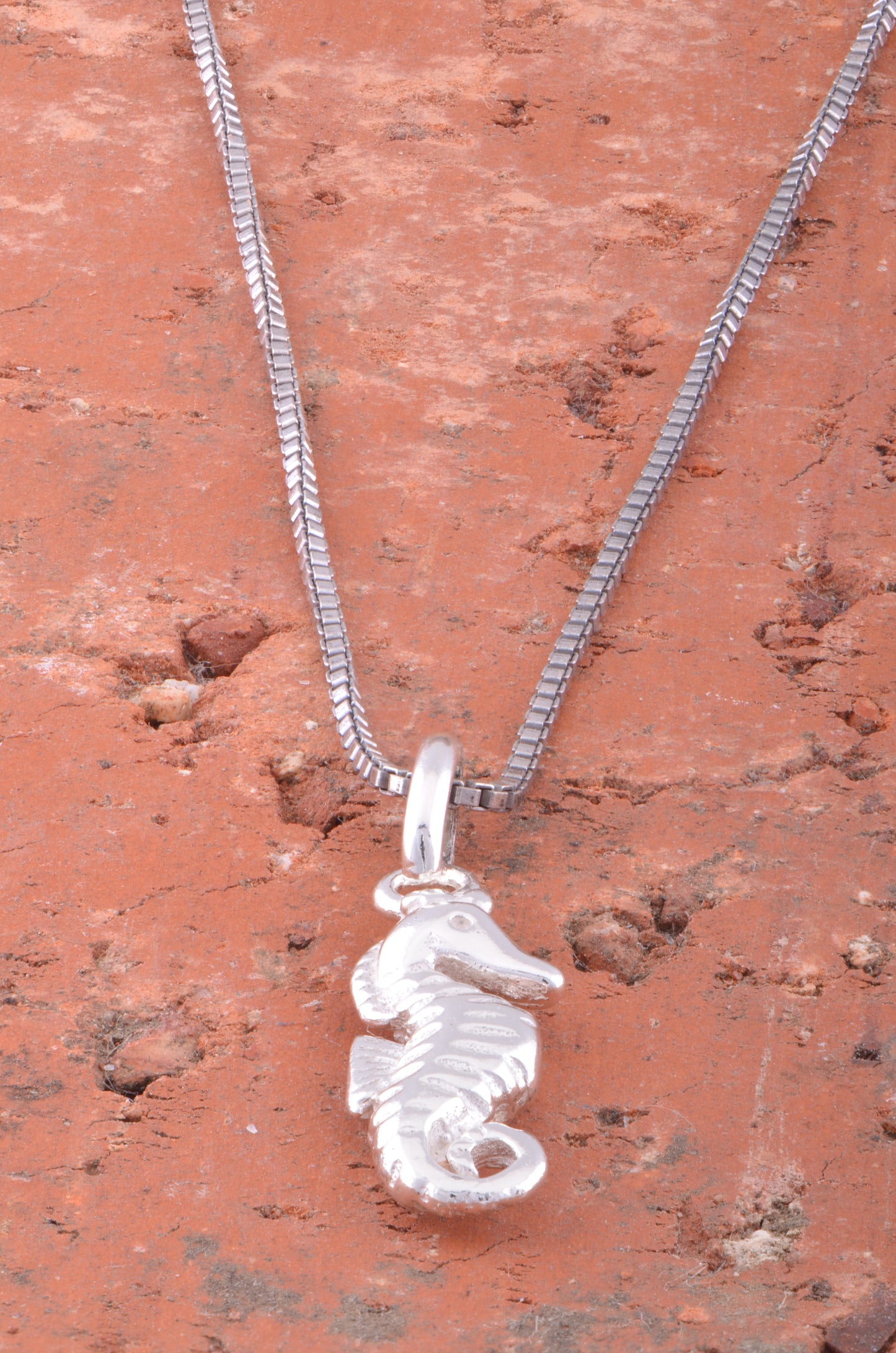 Sterling Silver Women's Small Tropical SeaHorse Ocean Charm Necklace