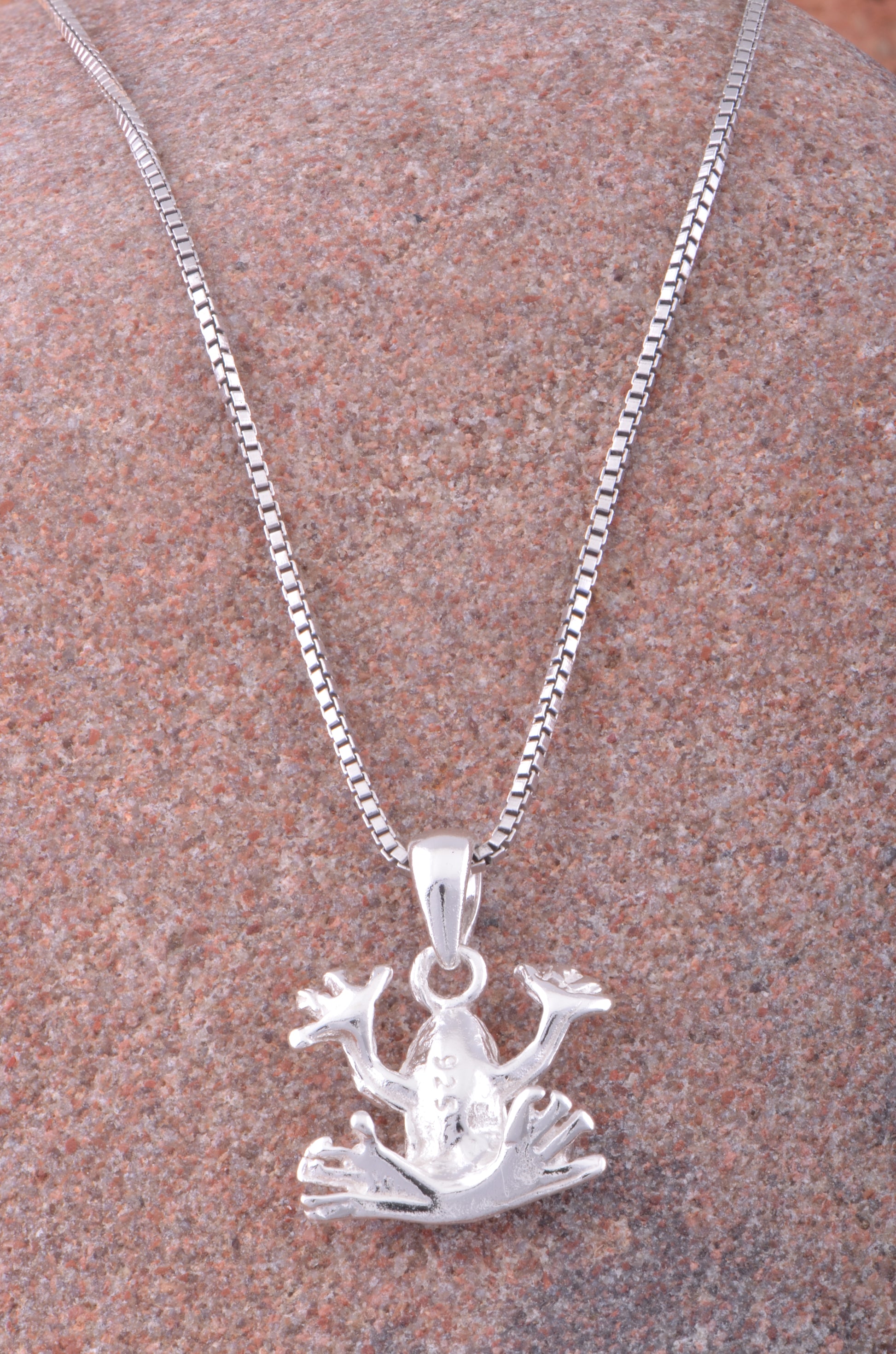 Sterling Silver Women's Tree Frog Necklace Silver Girls Frog Charm Necklace