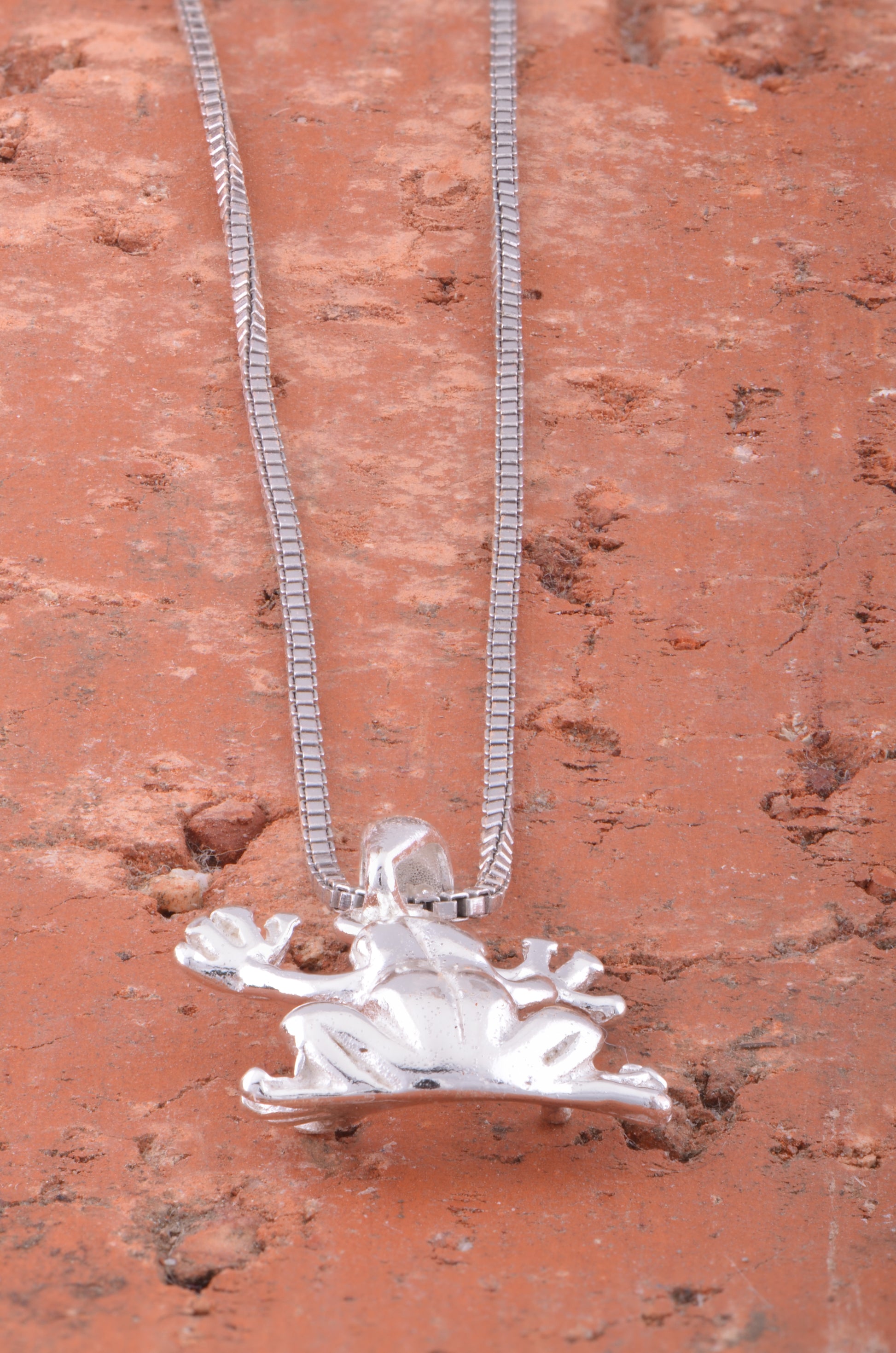 Sterling Silver Women's Tree Frog Necklace Silver Girls Frog Charm Necklace
