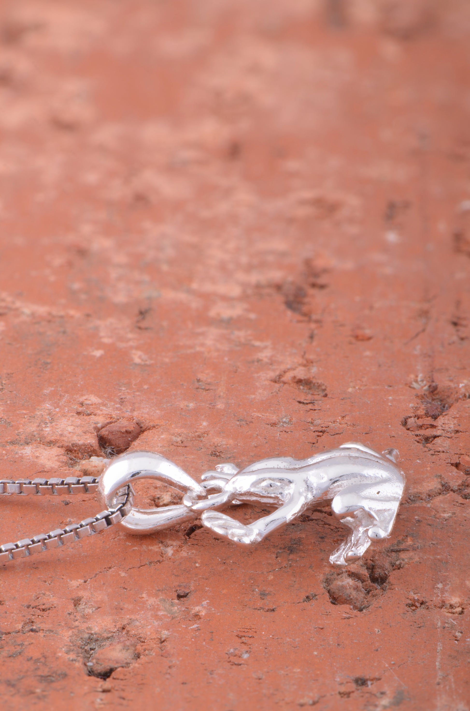 Sterling Silver Women's Tree Frog Necklace Silver Girls Frog Charm Necklace